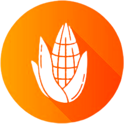 Agricultural Infrastructural Solutions