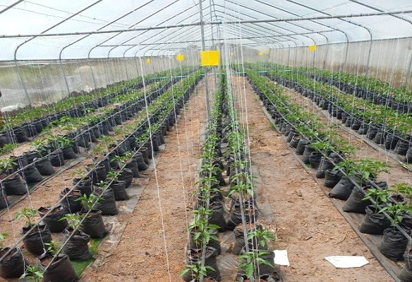 Welcome to Tuhos – Growing Smarter, Together